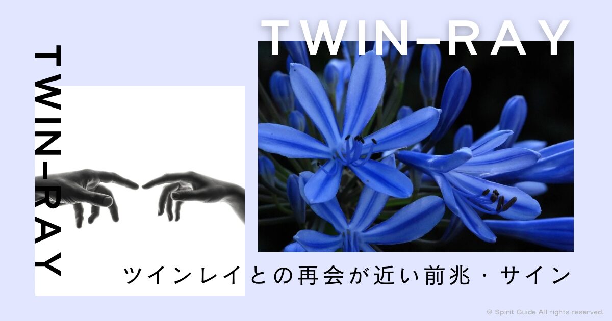 ツインレイとの再会