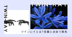 ツインレイの定義